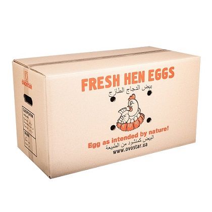 Fresh chicken eggs Ovostar