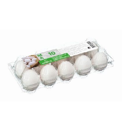 fresh chicken eggs 10 pcs Ovostar